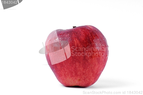 Image of Apple