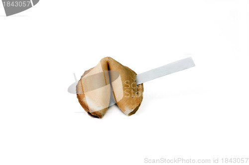 Image of Fortune Cookie