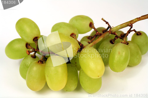 Image of Grapes