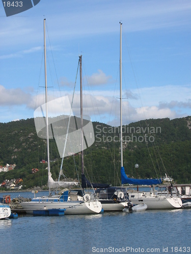 Image of Some sailboats at a marina