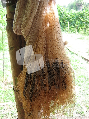 Image of Fishing Net