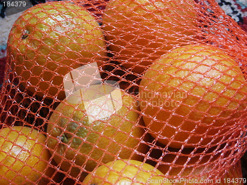 Image of Oranges