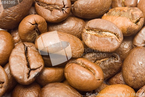 Image of Textures - Coffee Beans Macro