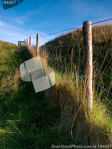 Image of Fence Line