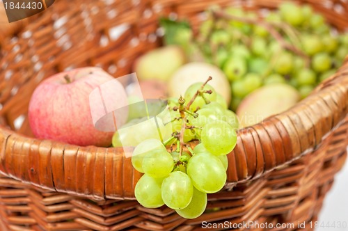 Image of apples and grapes