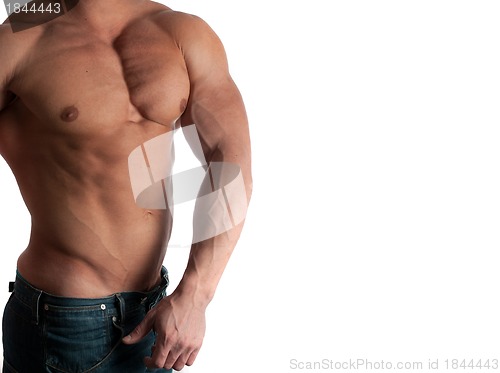 Image of bodybuilder