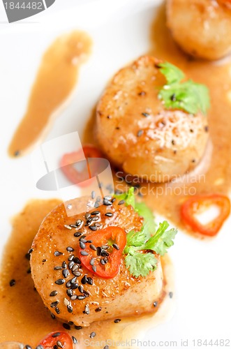 Image of Scallop