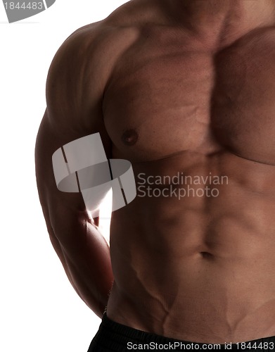 Image of bodybuilder