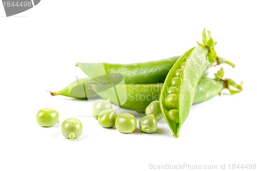 Image of Ripe pea