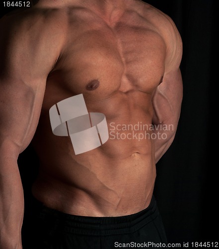 Image of bodybuilder