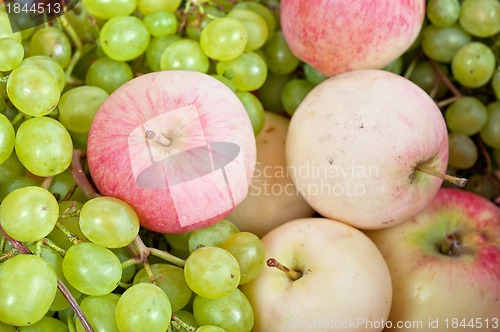 Image of apples and grapes