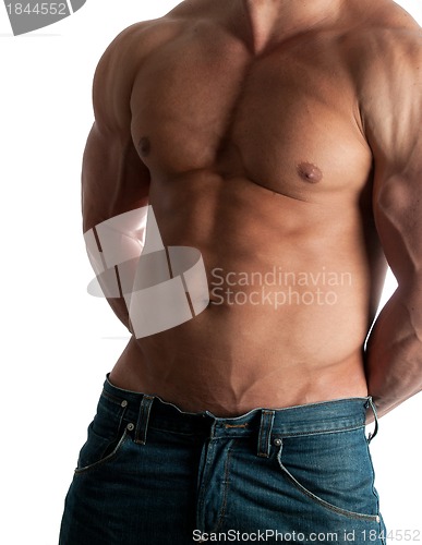 Image of bodybuilder