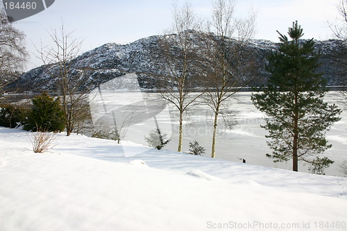 Image of Winterwonderland