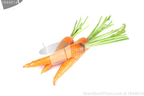Image of Carrots