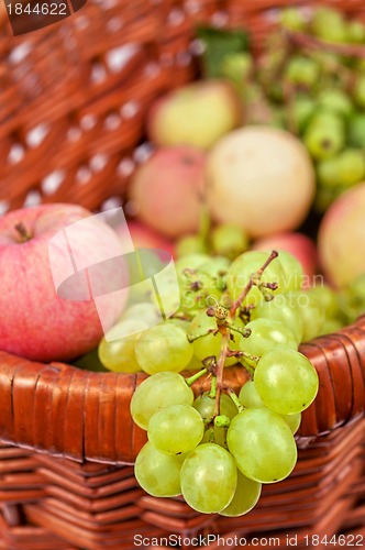 Image of apples and grapes