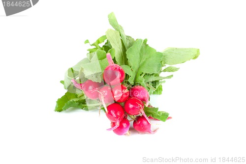 Image of Fresh radishes