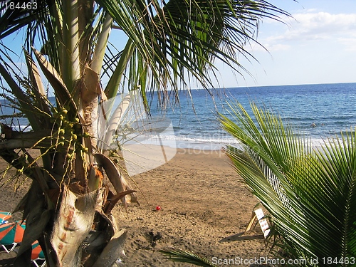 Image of Beach