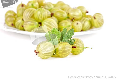 Image of gooseberries