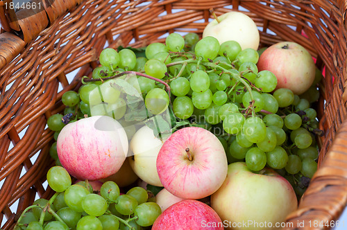 Image of apples and grapes
