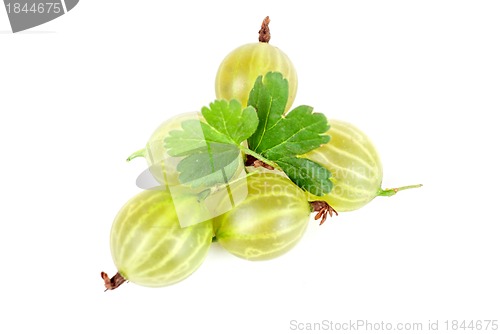 Image of gooseberries