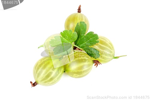 Image of gooseberries