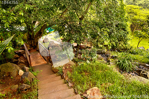 Image of Beautiful green garden
