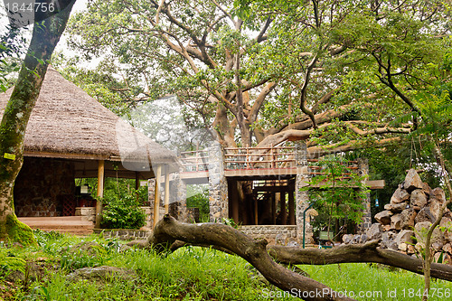 Image of Tree house and a hut in a garden