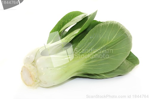 Image of Pak choi