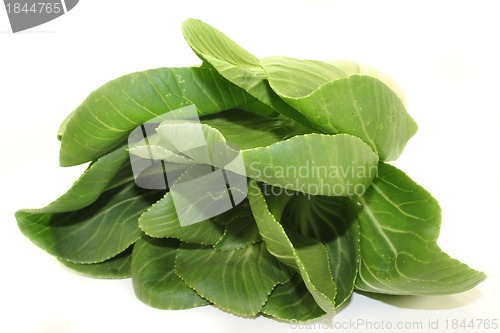 Image of Pak choi