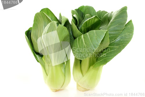 Image of Pak choi