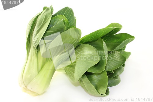 Image of Pak choi