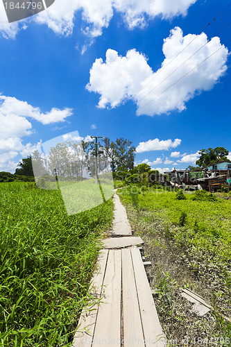 Image of Beautiful path along the meadows