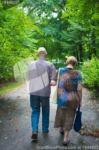 Image of Senior couple in the park