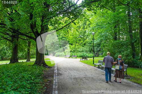 Image of Senior couple in the park