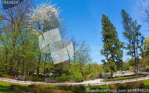 Image of Park in spring time
