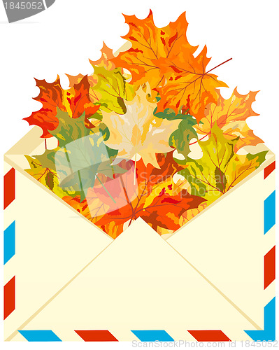 Image of Autumn maple