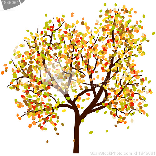 Image of Autumn birch