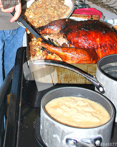 Image of Holiday turkey.