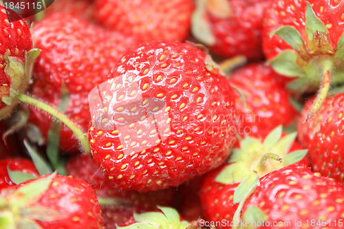 Image of Strawberry