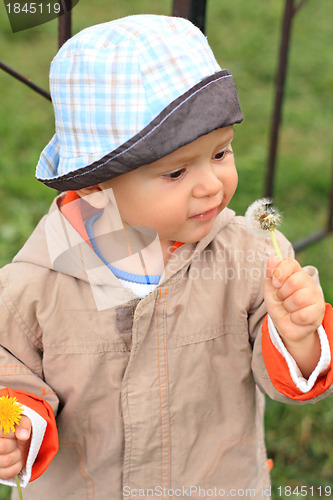 Image of Little boy with dandelions