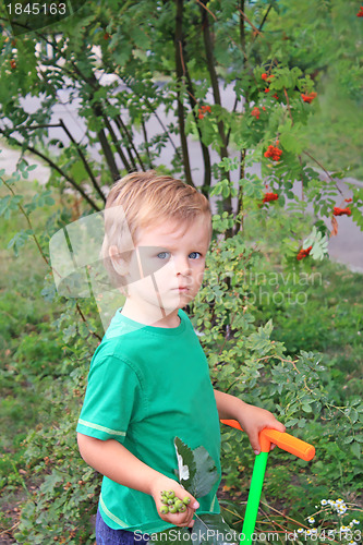Image of Lovely boy