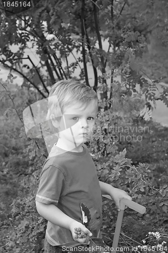 Image of Lovely boy