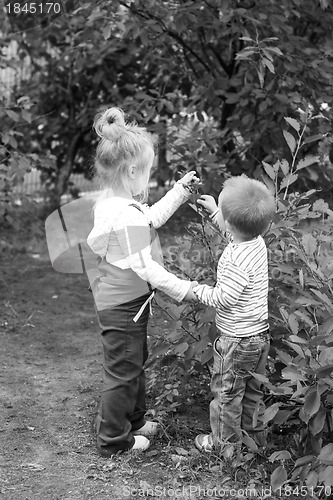 Image of Two little lovely kids