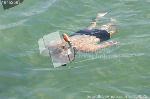 Image of Man floats in the sea