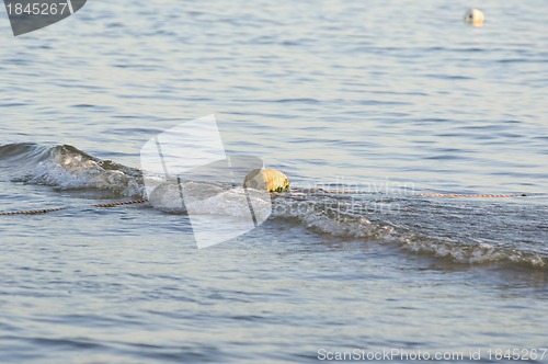 Image of Buoy floating