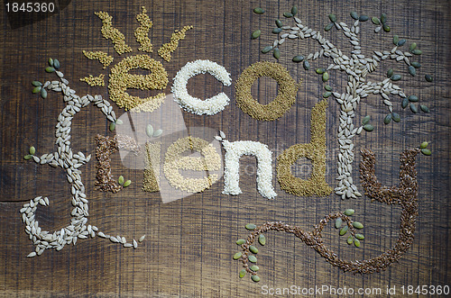 Image of The phrase 'Eco Friendly', written and decorated in seeds