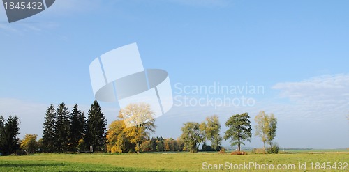 Image of autumn background