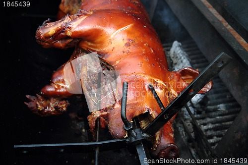 Image of grilled pig