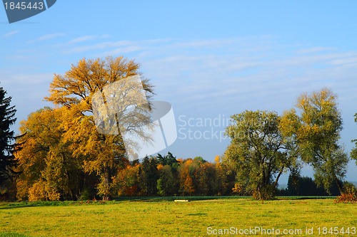 Image of autumn background