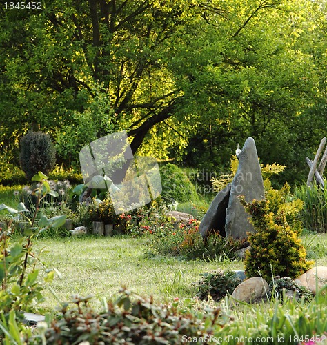Image of green spring garden